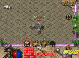 57.白猪回城按钮无效的修复设置
