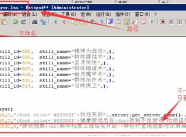 29.增加上线后仅自己能看到的世界公告